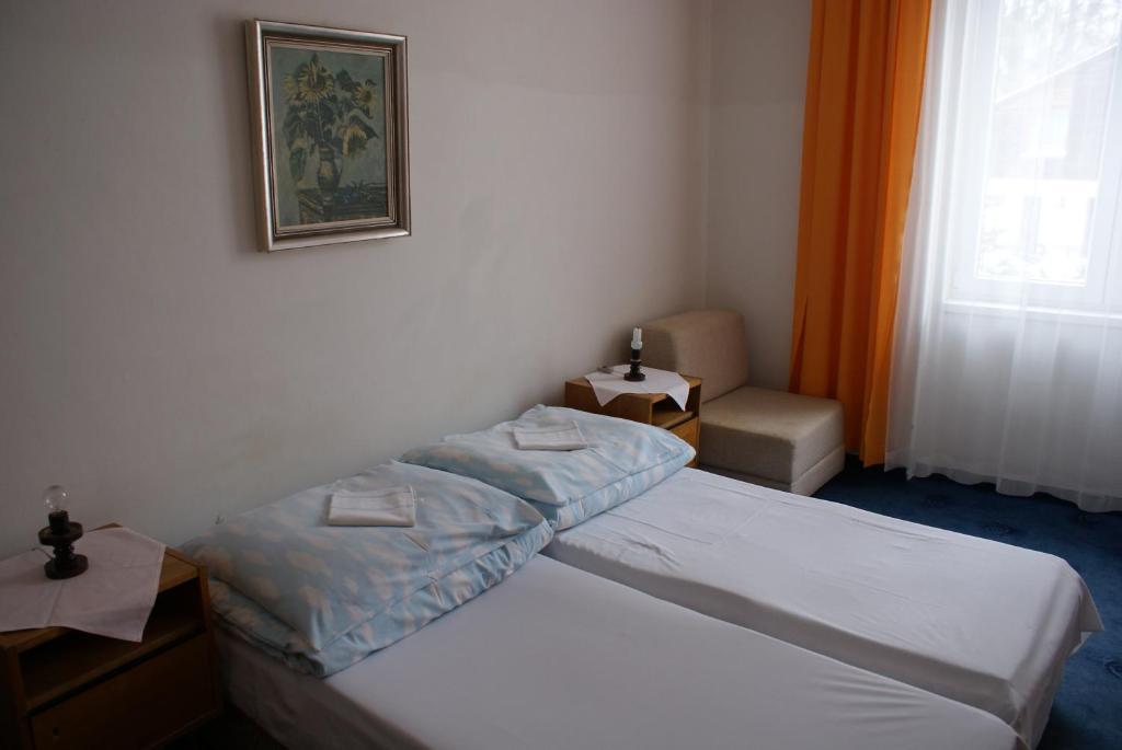 Penzion Karpatia Vysoké Tatry Kamer foto